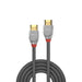 Lindy 0.5m High Speed HDMI Cable, Cromo Line | 37870 Lindy Cable Lindy