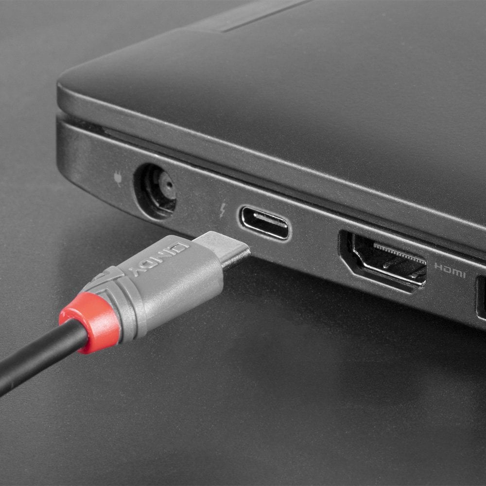 Lindy 0.5m USB 2.0 Type C to Micro-B Cable, Anthra Line | 36890 USB Cable Lindy