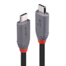 Lindy 0.8m USB 4 Type C Cable, 40Gbps, Anthra Line | 36947
