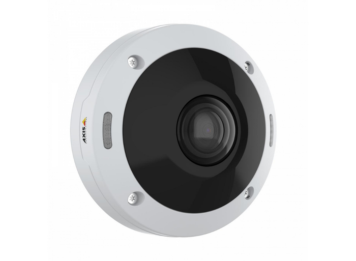 Axis M4308-PLE 12 MP Outdoor-Ready Dome With Audio Capture Panoramic Camera Security Camera Axis
