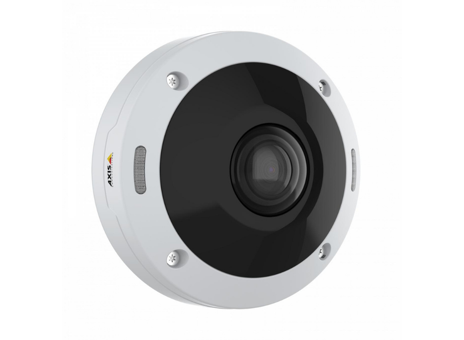 Axis M4308-PLE 12 MP Outdoor-Ready Dome With Audio Capture Panoramic Camera