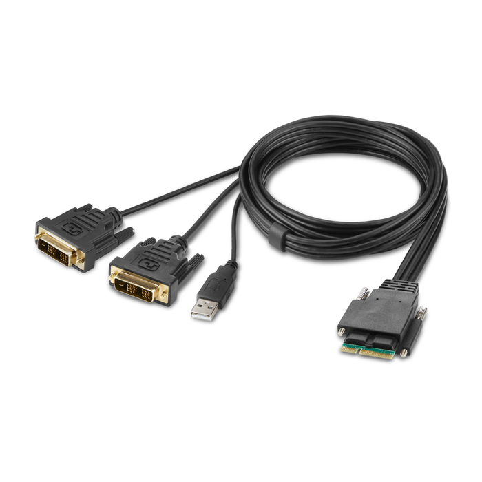 Belkin 2-Port Dual Head DVI Modular Secure KVM Switch PP4.0 W/ Remote | F1DN202MOD-DD-4