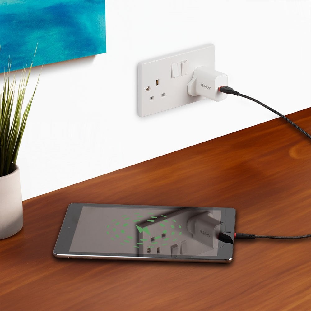 Lindy 18W USB Type A Charger | 73415 Power & Charging Lindy