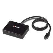 Lindy 2 Port USB 3.2 Gen 2 Type C Bi-Directional Switch | 43329 USB Hub & Docking Station Lindy