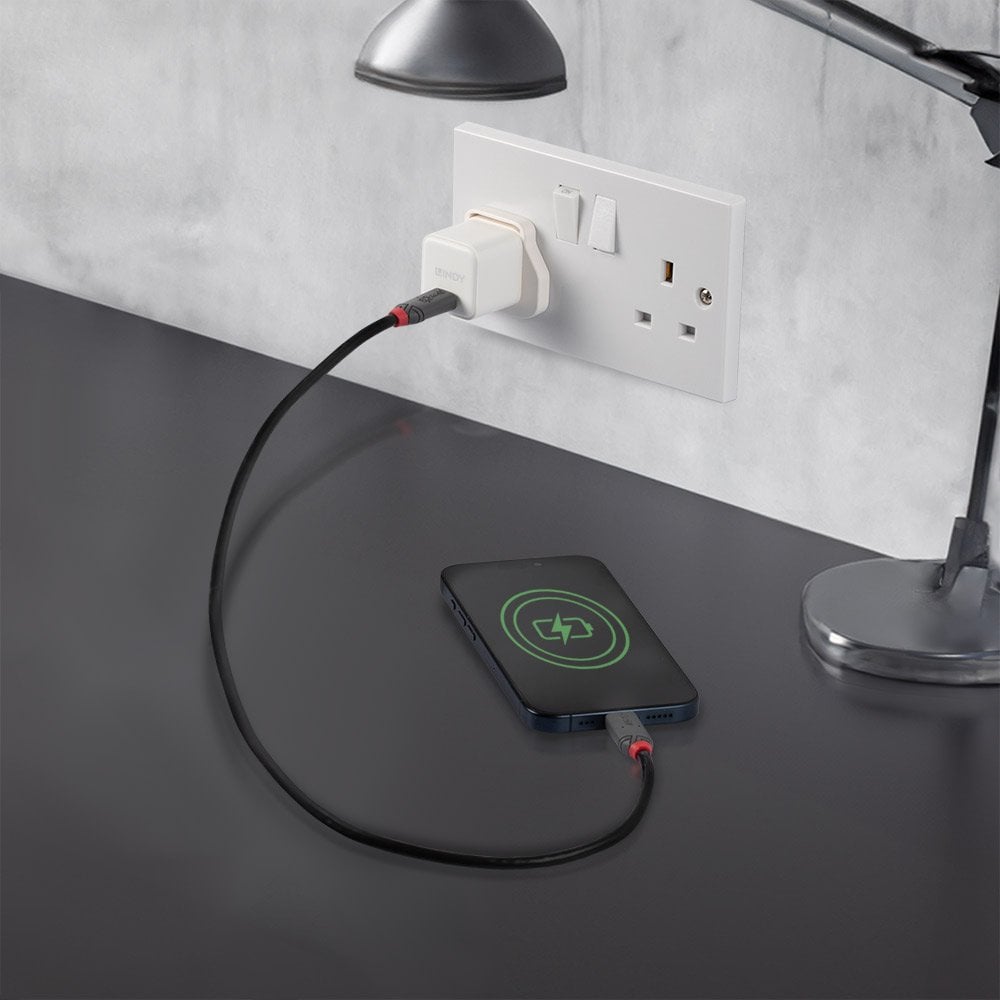 Lindy 20W USB Type C GaN Charger | 73411 Power & Charging Lindy