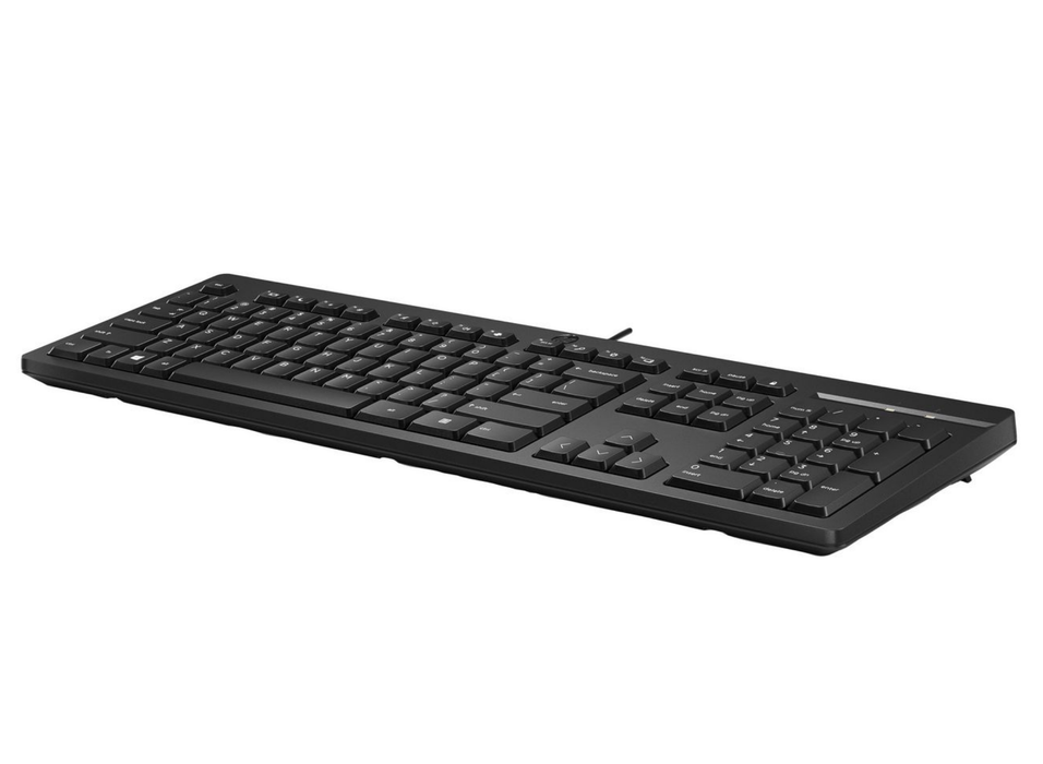 HP 125 Wired Keyboard – Full-Size USB, French Layout (Black) | 266C9AA#ABF