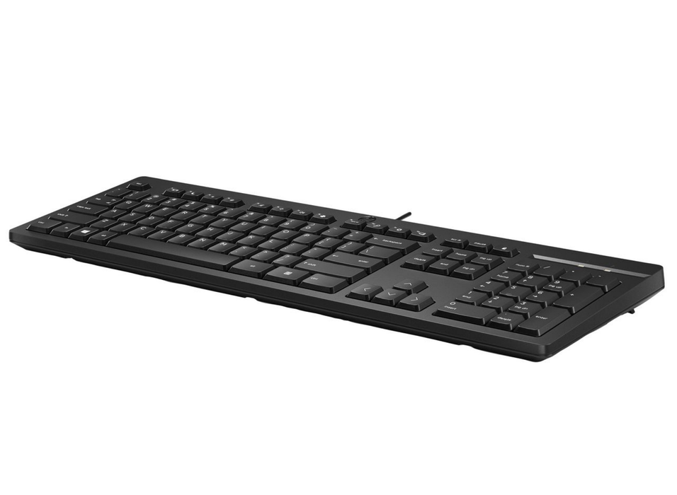 HP 125 Wired USB Keyboard – Full-Size Norwegian Layout (Black) | 266C9AA#ABN