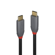 Lindy 2m USB 3.2 Type C to C Cable, 20Gbps, 5A, PD, Anthra Line | 36903 USB Cable Lindy