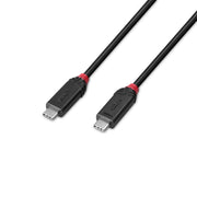 Lindy 2m USB4 240W Type C Cable, Black Line | 37002 USB Cable Lindy