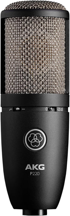 AKG P220 High-performance Large Diaphragm True Condenser Microphone | 3101H00420 Microphones AKG