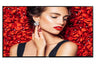 Philips 32BDL4031D/00 D-Line 32” 1080p D-Line Anti-Glare Smart Digital Signage Display