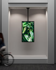 Multibrackets M Pro Series Enclosure 55" Ceiling Medium Black Signage Display Enclosures Multibrackets