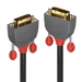 Lindy 5m DVI-D Dual Link Cable, Anthra Line | 36224 Lindy Cable Lindy