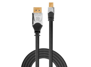 Lindy 1m CROMO Mini DisplayPort to DisplayPort Cable | 36311 DisplayPort Cable Lindy