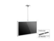 Multibrackets M Pro Series Enclosure 50" Ceiling Medium White Signage Display Enclosures Multibrackets