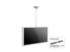 Multibrackets M Pro Series Enclosure 50" Ceiling Medium White Signage Display Enclosures Multibrackets