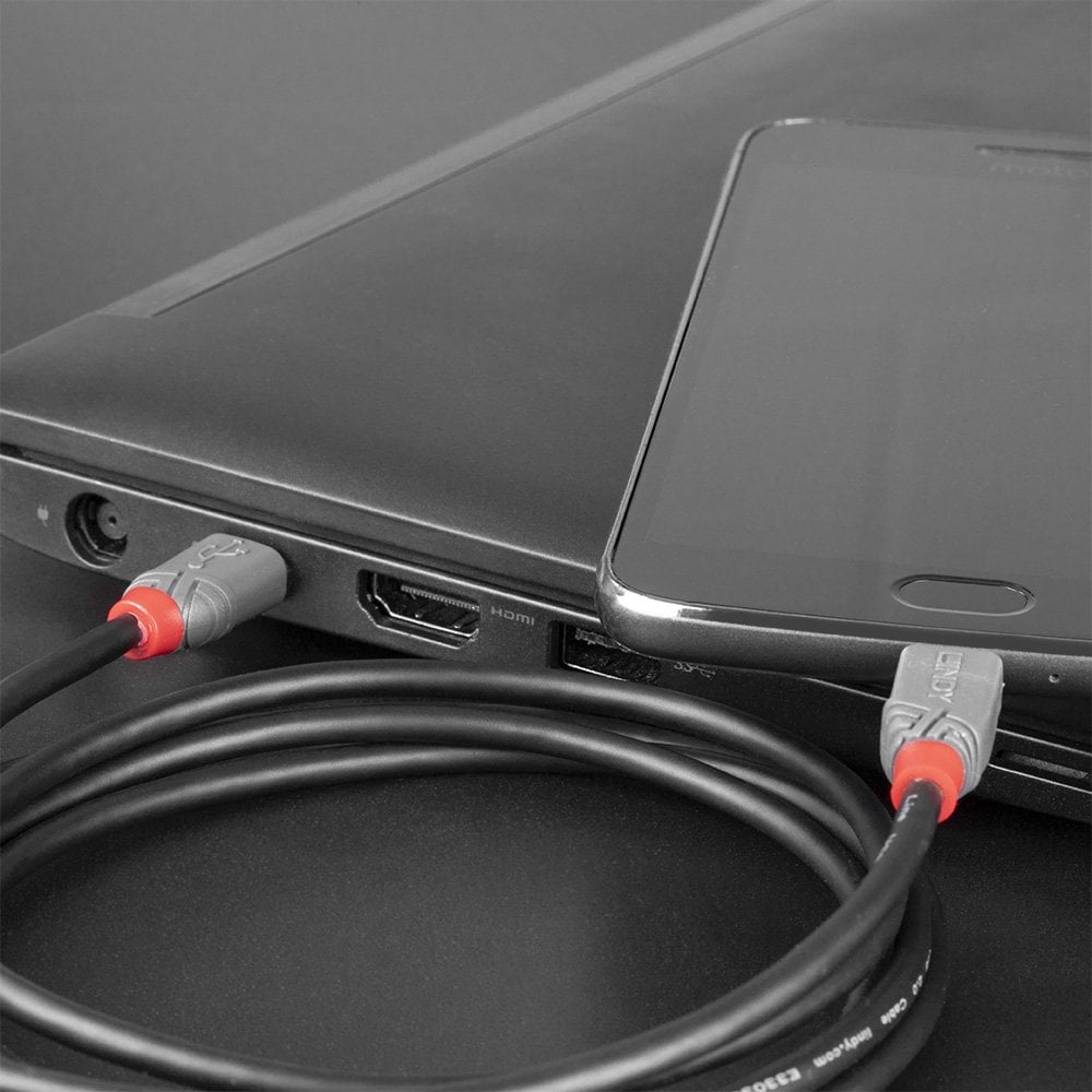 Lindy 3m USB 2.0 Type C to Micro-B Cable, Anthra Line | 36893 USB Cable Lindy