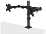 Lindy Dual Adjustable Display Mount For 13" - 32" Screens | 40711