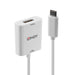 Lindy USB Type C to DisplayPort 4K60 Converter - 43245 Graphics Card Lindy