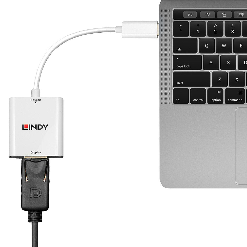 Lindy USB Type C to DisplayPort 4K60 Converter - 43245 Graphics Card Lindy