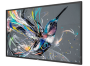 Philips Q-Line 43" 4K Ultra HD IPS Panel Signage Solutions Display Digital Signage Display Philips