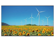 Hisense 43DP30FE 43" 4K Ultra HD Smart Digital Signage Display Digital Signage Display Hisense
