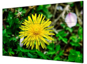 Hikvision DS-D2055LE-G 55" 1.8mm Digital Signage Display LCD Video Wall Display Hikvision