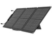 EcoFlow 60W Solar Panel