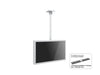 Multibrackets M Pro Series Enclosure 43" Ceiling Small White Signage Display Enclosures Multibrackets
