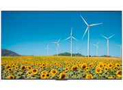 Hisense 50DP30FE 50" 4K Ultra HD Smart Digital Signage Display Digital Signage Display Hisense