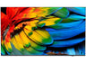 Philips MediaSuite | 50HFL6214U/12 50" 4K Ultra HD Smart Commercial Professional TV