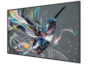 Philips Q-Line | 55BDL3511Q/00 55" 4K Ultra HD Smart Digital Signage Display Digital Signage Display Philips