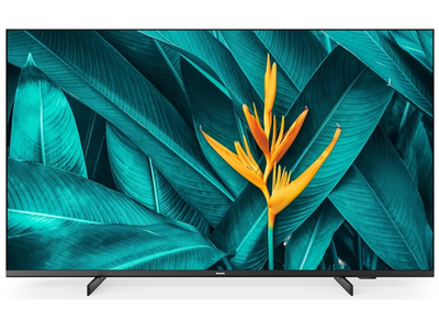 Philips 55" 4K Ultra HD Professional TV with Chromecast Built-In And Netflix Philips Commercial TV Philips
