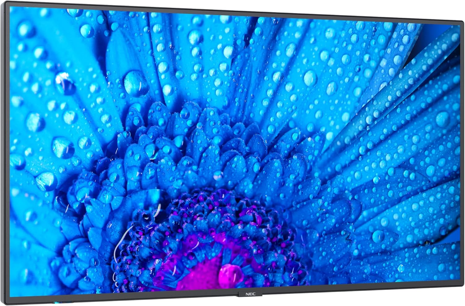 NEC MultiSync® M431 LCD 43" 4K Message Large Format Display | 60005047 Digital Signage Display NEC