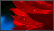 NEC MultiSync® MA431 LCD 43" 4K Message Advanced Large Format Display | 60005046 Digital Signage Display NEC