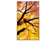 NEC Sharp MultiSync® M322 32" Full HD LCD Message Large Format Display Digital Signage Display NEC