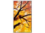 Sharp MultiSync® M502 LCD 50" 4K UHD Message Large Format Display Digital Signage Display NEC