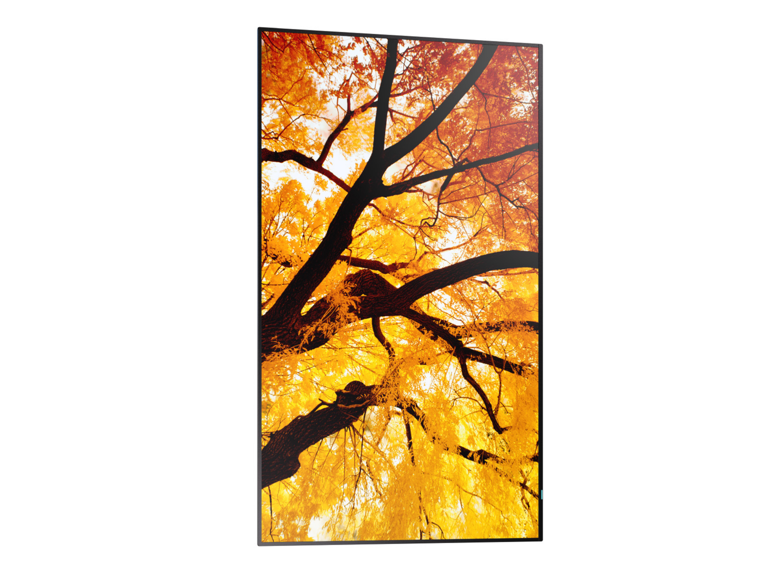 Sharp MultiSync® M502 LCD 50" 4K UHD Message Large Format Display Digital Signage Display NEC