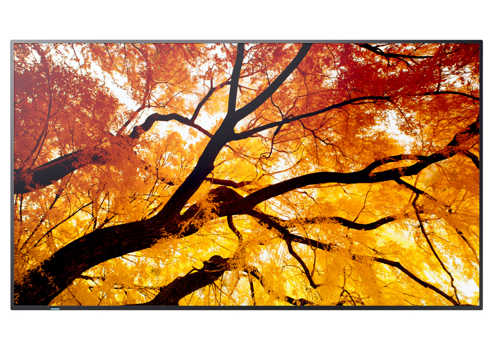 Sharp MultiSync® M552 LCD 55" 4K UHD Message Large Format Display Digital Signage Display NEC