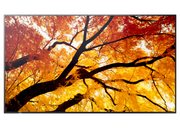 Sharp MultiSync® M552 LCD 55" 4K UHD Message Large Format Display Digital Signage Display NEC