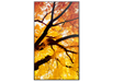 Sharp MultiSync® M552 LCD 55" 4K UHD Message Large Format Display Digital Signage Display NEC