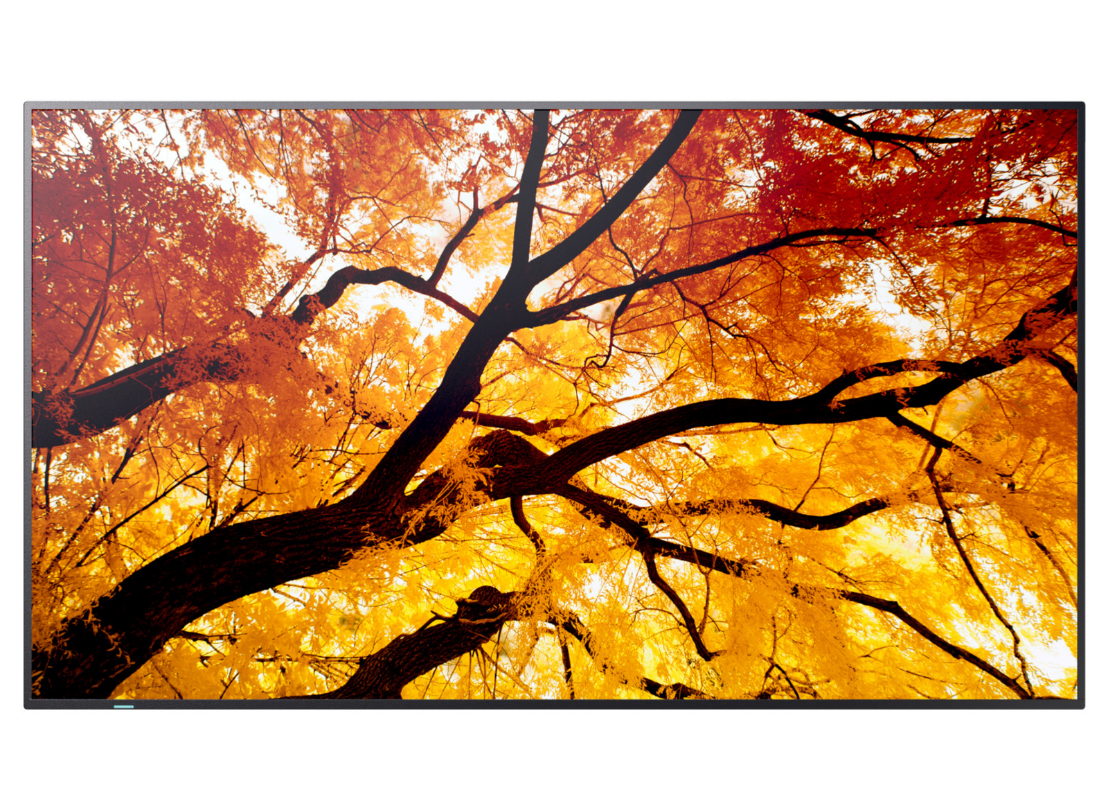 Sharp MultiSync® M652 LCD 65" 4K Ultra HD Message Large Format Display Digital Signage Display NEC