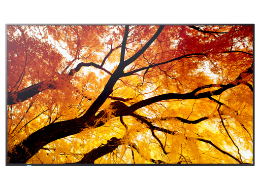 Sharp MultiSync® M652 LCD 65" 4K Ultra HD Message Large Format Display Digital Signage Display NEC