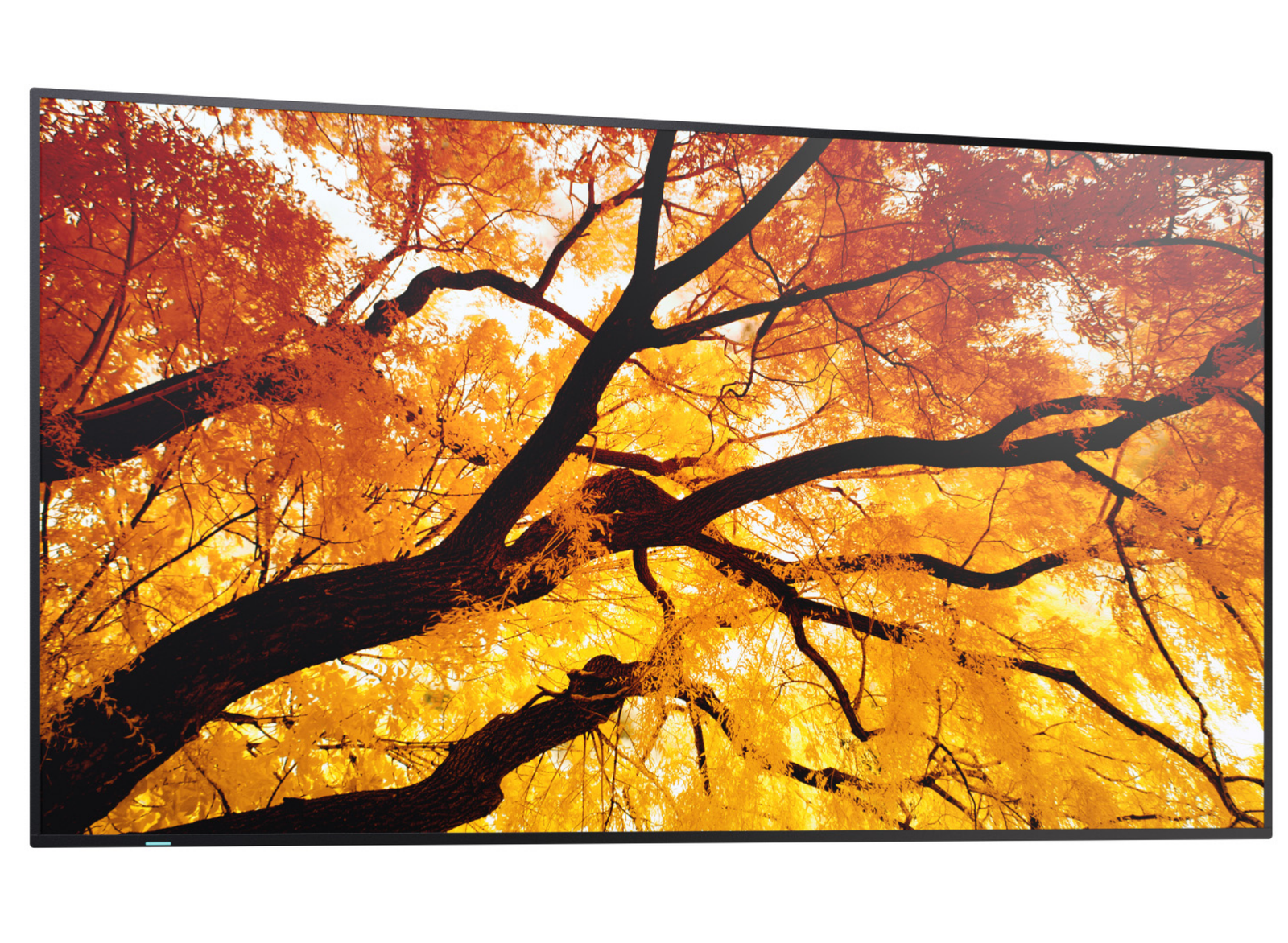 Sharp MultiSync® M652 LCD 65" 4K Ultra HD Message Large Format Display Digital Signage Display NEC