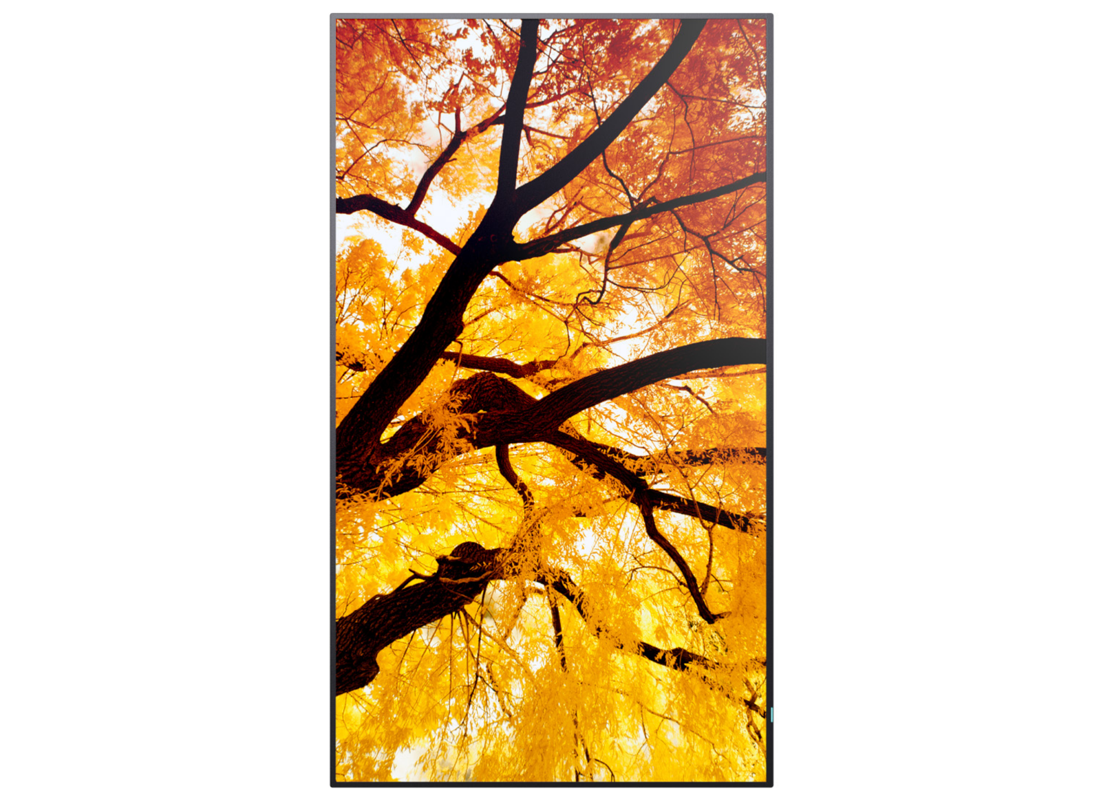 Sharp MultiSync® M652 LCD 65" 4K Ultra HD Message Large Format Display Digital Signage Display NEC