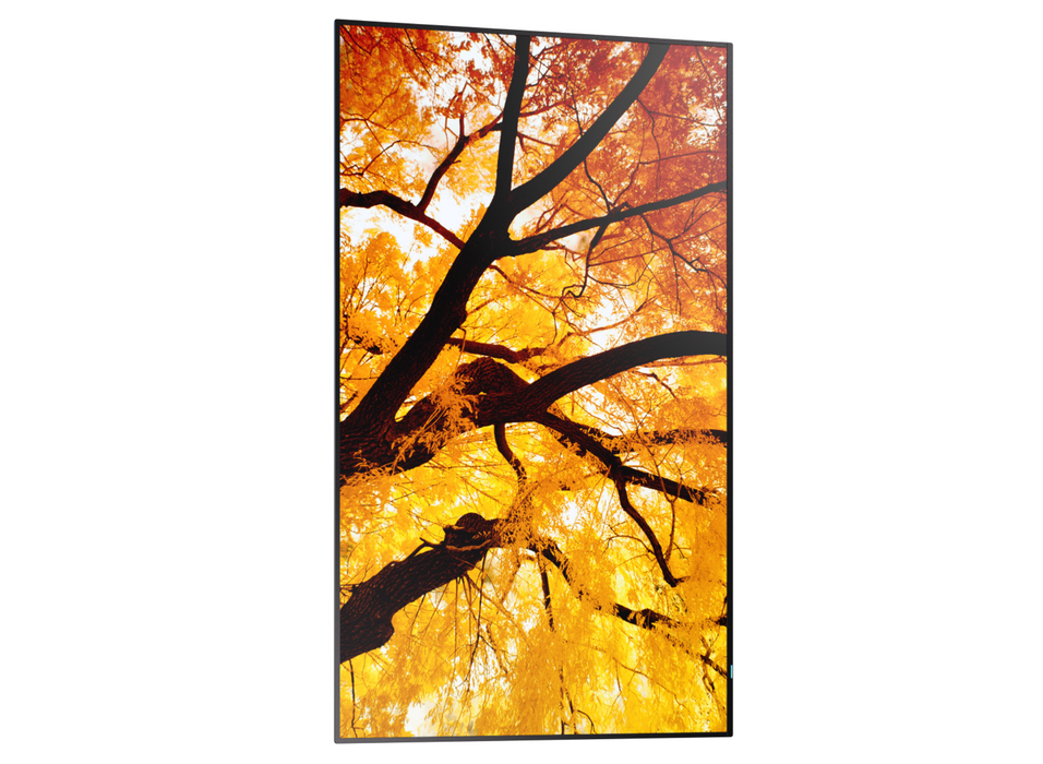 Sharp MultiSync® M652 LCD 65" 4K Ultra HD Message Large Format Display Digital Signage Display NEC