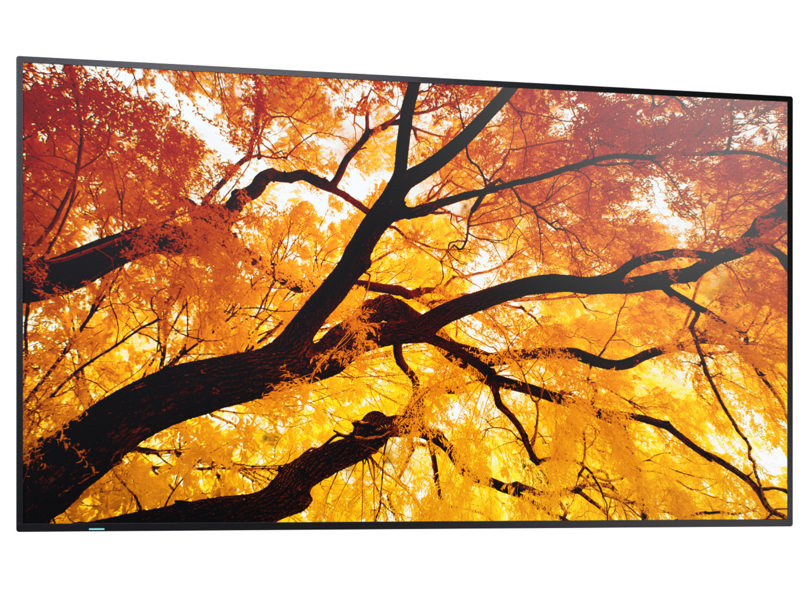 Sharp MultiSync® M752 LCD 75" 4K UHD Message Large Format Display Digital Signage Display NEC