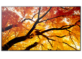 Sharp MultiSync® M982 LCD 98" 4K UHD Message Large Format Display