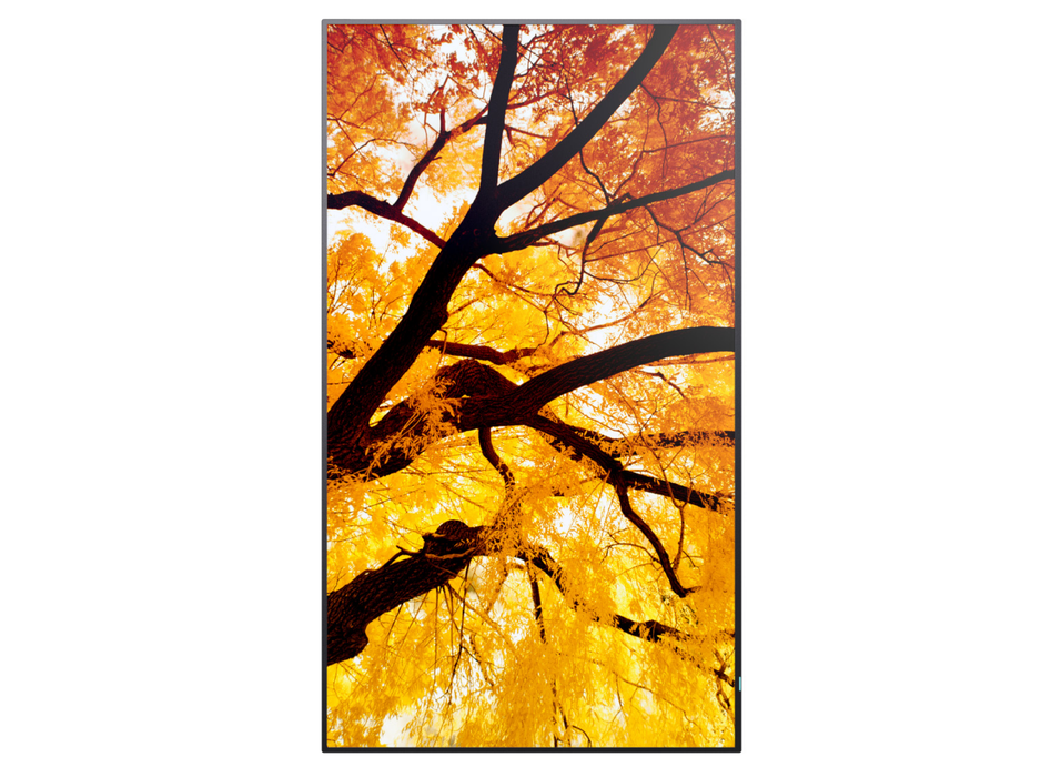 Sharp MultiSync® M982 LCD 98" 4K UHD Message Large Format Display Digital Signage Display NEC