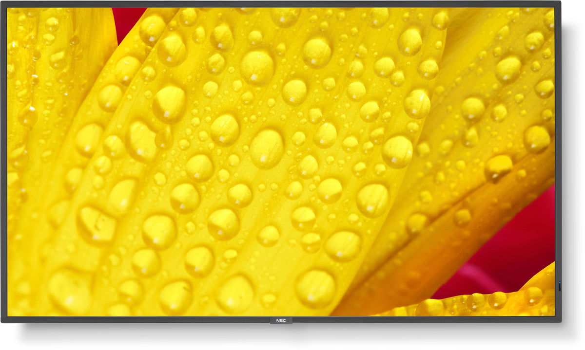 NEC MultiSync® M501-2 LCD 50" 4K Message Large Format Display | 60006084 Digital Signage Display NEC